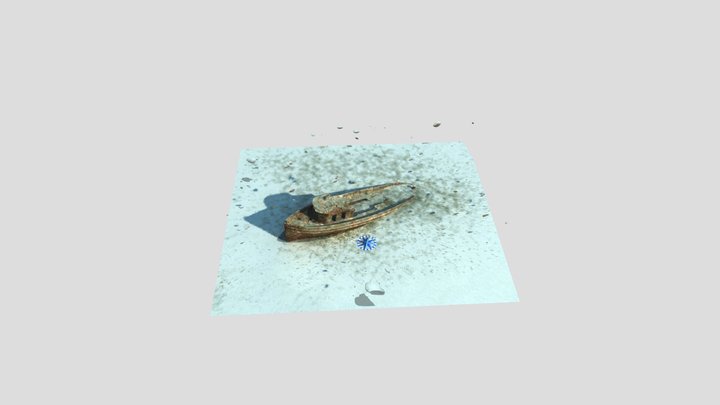 Belize Queen 3D Model