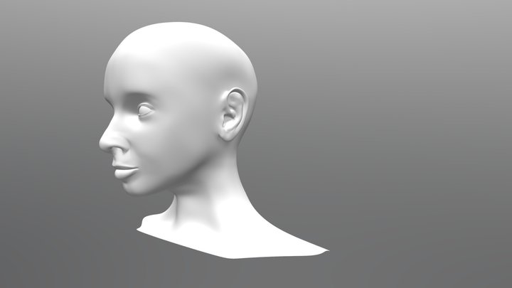 Female Human Head 3D Model