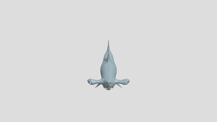 Hammerhead Shark - First attempt at sculpting 3D Model