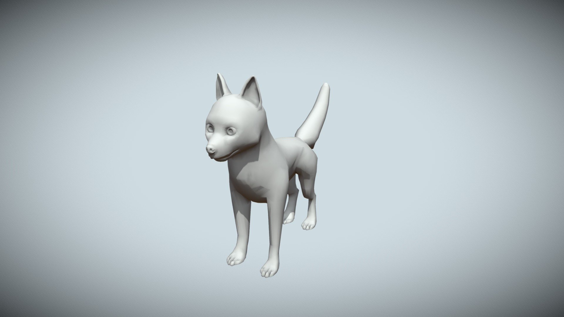 Husky Puppy