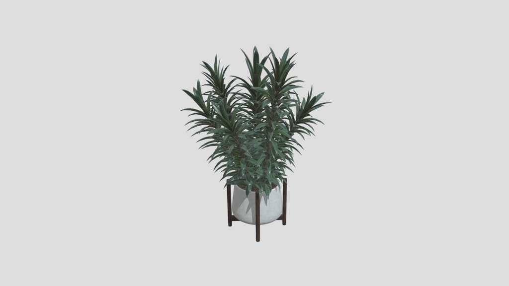 Modern Dracaena Corner Planter