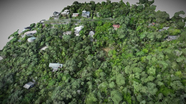 45 Rayner_Piha 3D Model