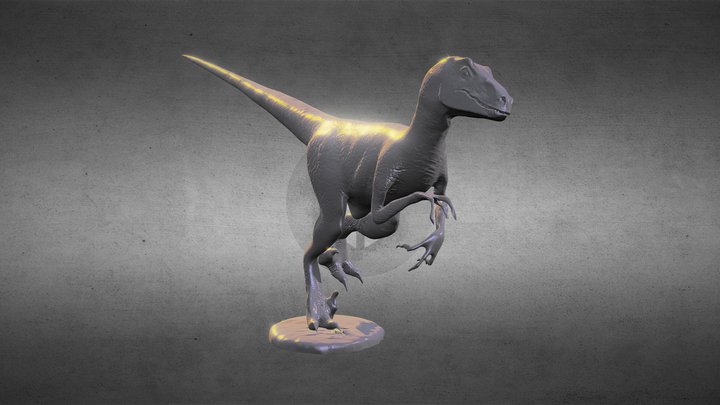 Raptor_Low Resolution 3D Model
