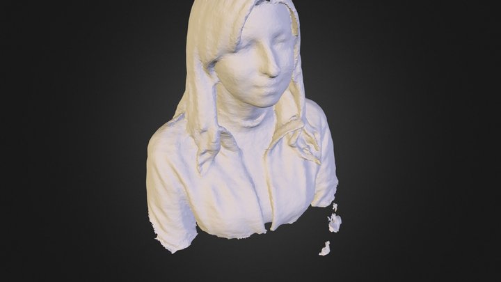 Shinkarenko Karina.stl 3D Model