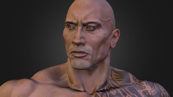 The Rock Bust 3D Model