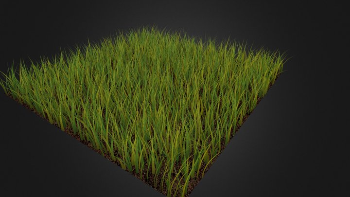 Grass Patch 3D Model