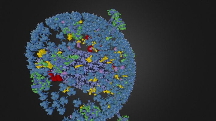 HIV Molecule 3D Model