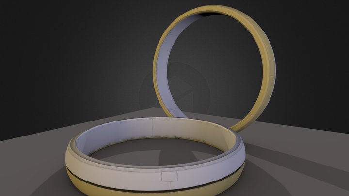 Anéis com sombreamento 3D Model
