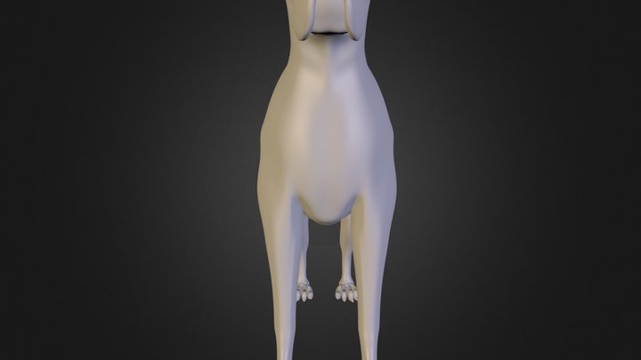 Boxer dog 3D Model
