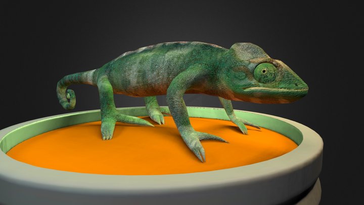 chameleon_blended 3D Model