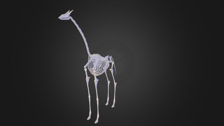 giraffe.3ds 3D Model