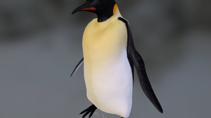 pingvin 3D Model