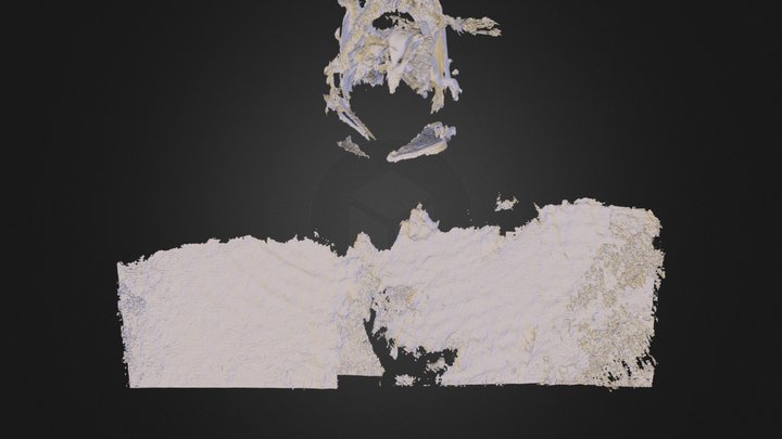 me again.stl 3D Model