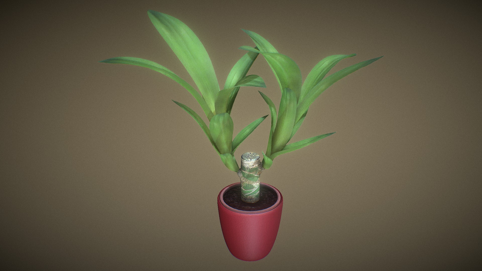 3D model Indoor Pot Plant - This is a 3D model of the Indoor Pot Plant. The 3D model is about a plant in a pot.