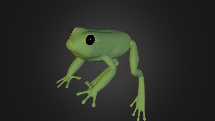 Frog 3D Model