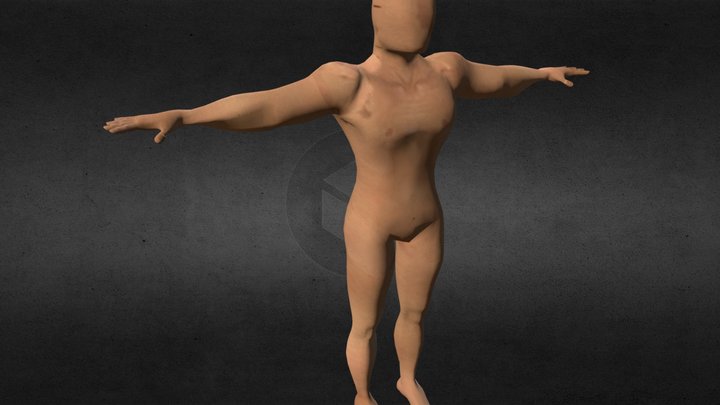 Human 3D Model