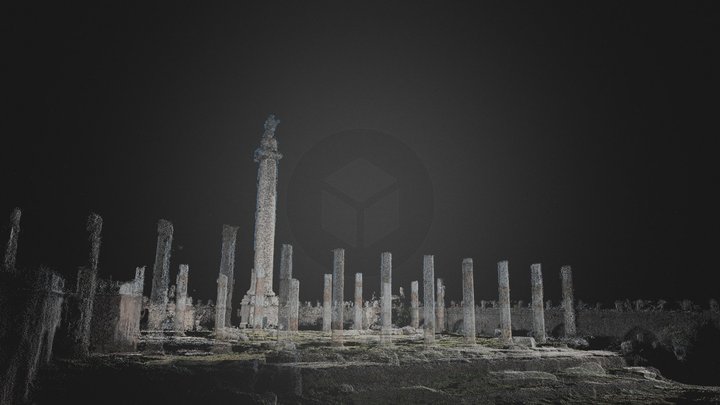 Trajan2.ply 3D Model