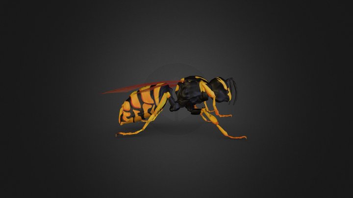 Wasp v2.zip 3D Model