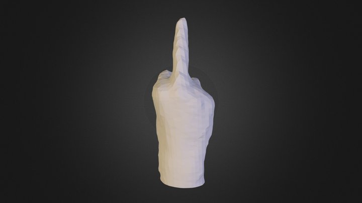 Finger 3D Model