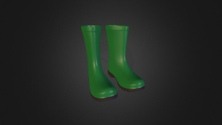 Wellington Boots 3D Model