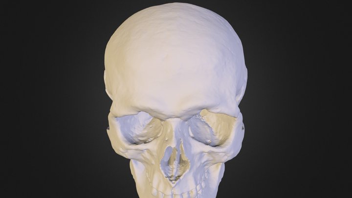 Skull_750k.OBJ 3D Model