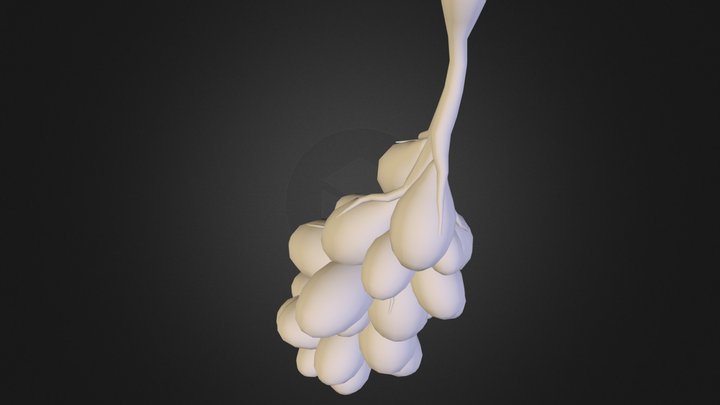 Breast_OBJ.zip 3D Model
