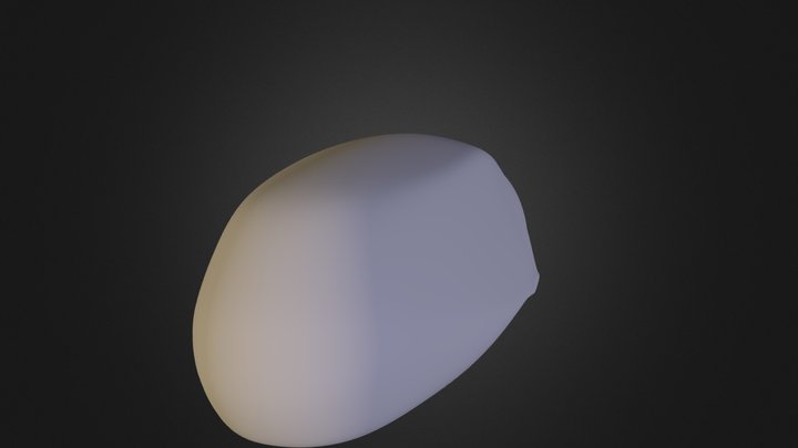 gwyddionport 3D Model