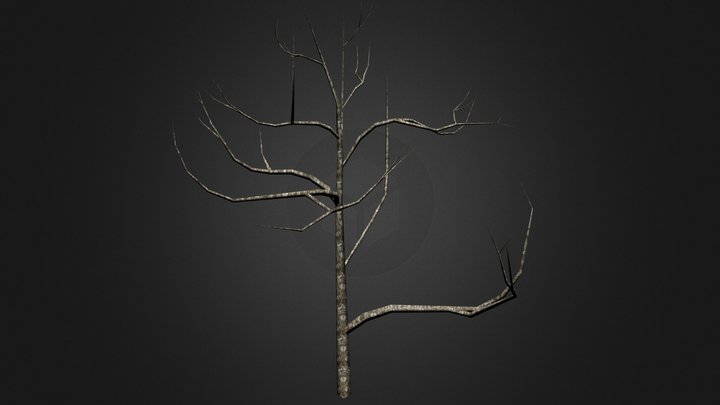 TREE 3D Model
