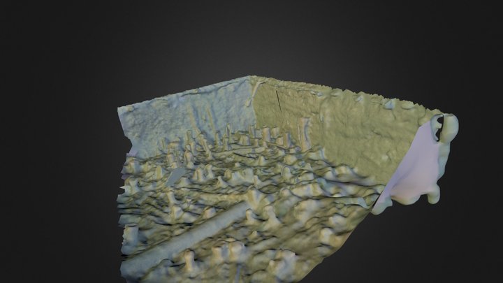 SipplingenMesh.ply 3D Model