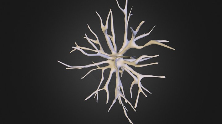 Nature-branches.obj 3D Model