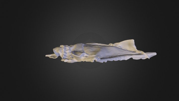 Pieza4_Shell1mm.stl 3D Model