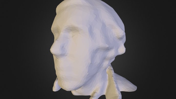 person_208.stl 3D Model