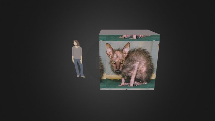 catbox2 3D Model