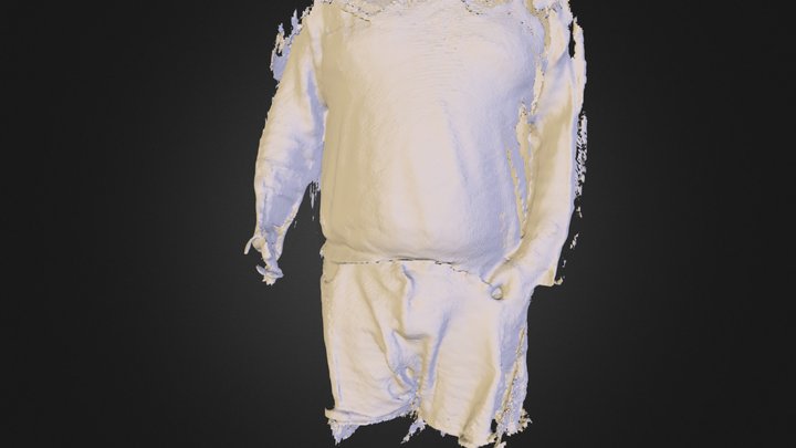 breitseite.ply 3D Model