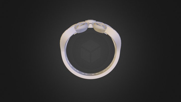ring 1 3D Model