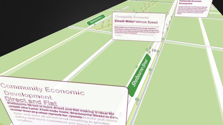 Shelbourne Street Cycle Track 3D Model