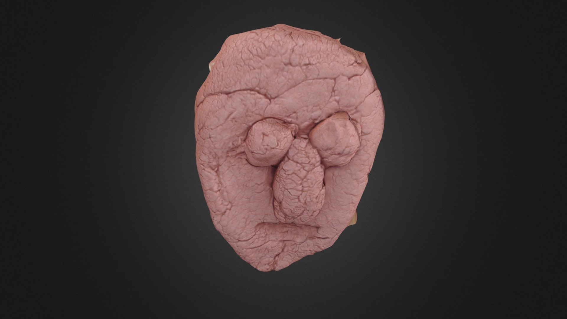Head 10