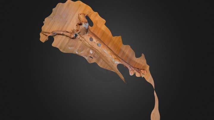 Charles Ray's Hinoki 3D Model