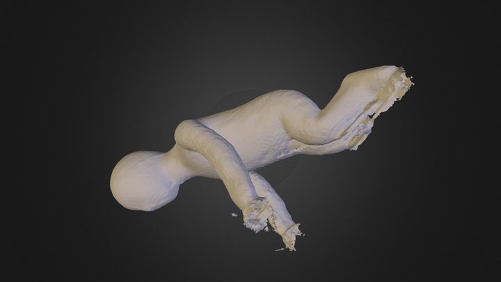 crawl1.ply 3D Model