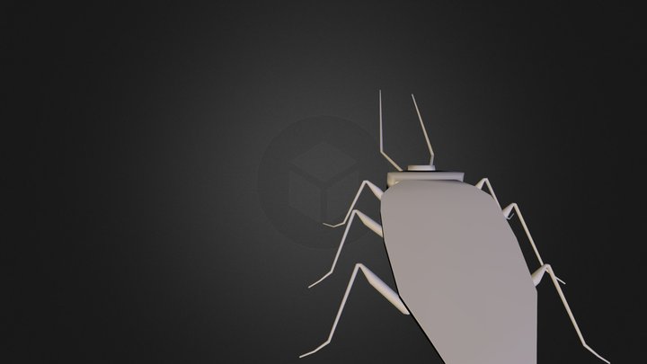 Kecoa2.obj 3D Model