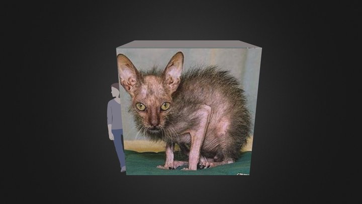 catbox 3D Model