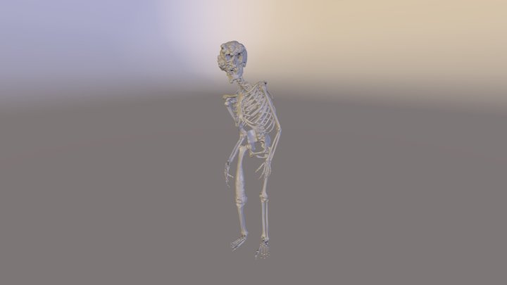 Elephant Man Skeleton 3D Model