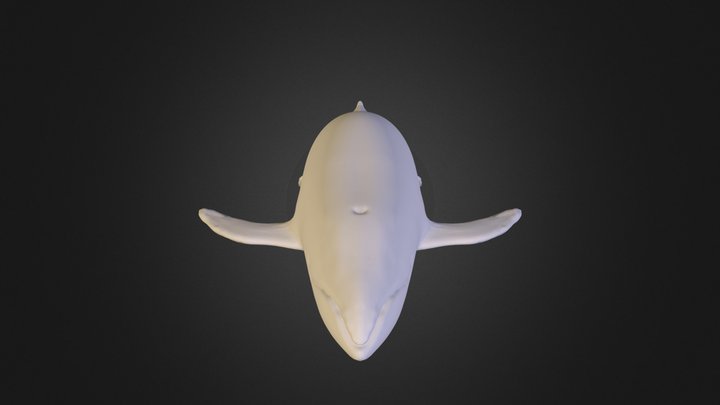 whale.obj 3D Model