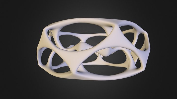 Tone Ring  3D Model