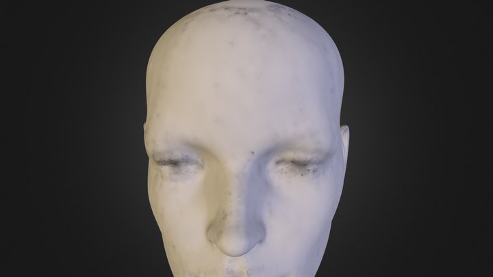 Anita GLAVA.ply 3D Model