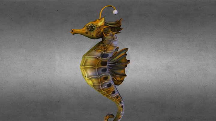 Seahorse.obj 3D Model