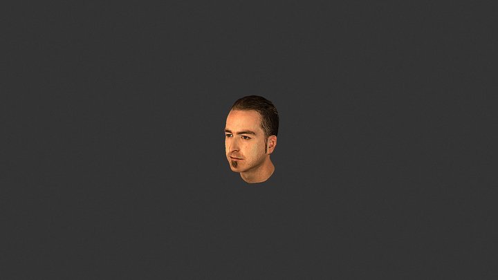 Head Scan 3D Model