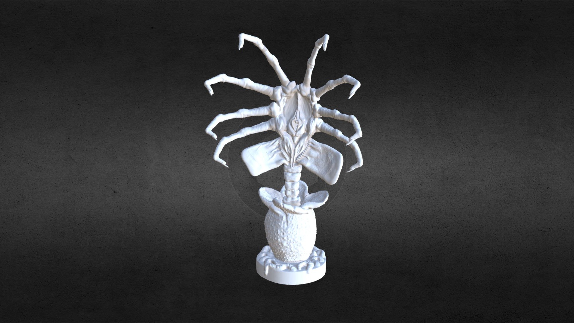 Facehugger 3D model by andyhdr [s3g3wcG] Sketchfab