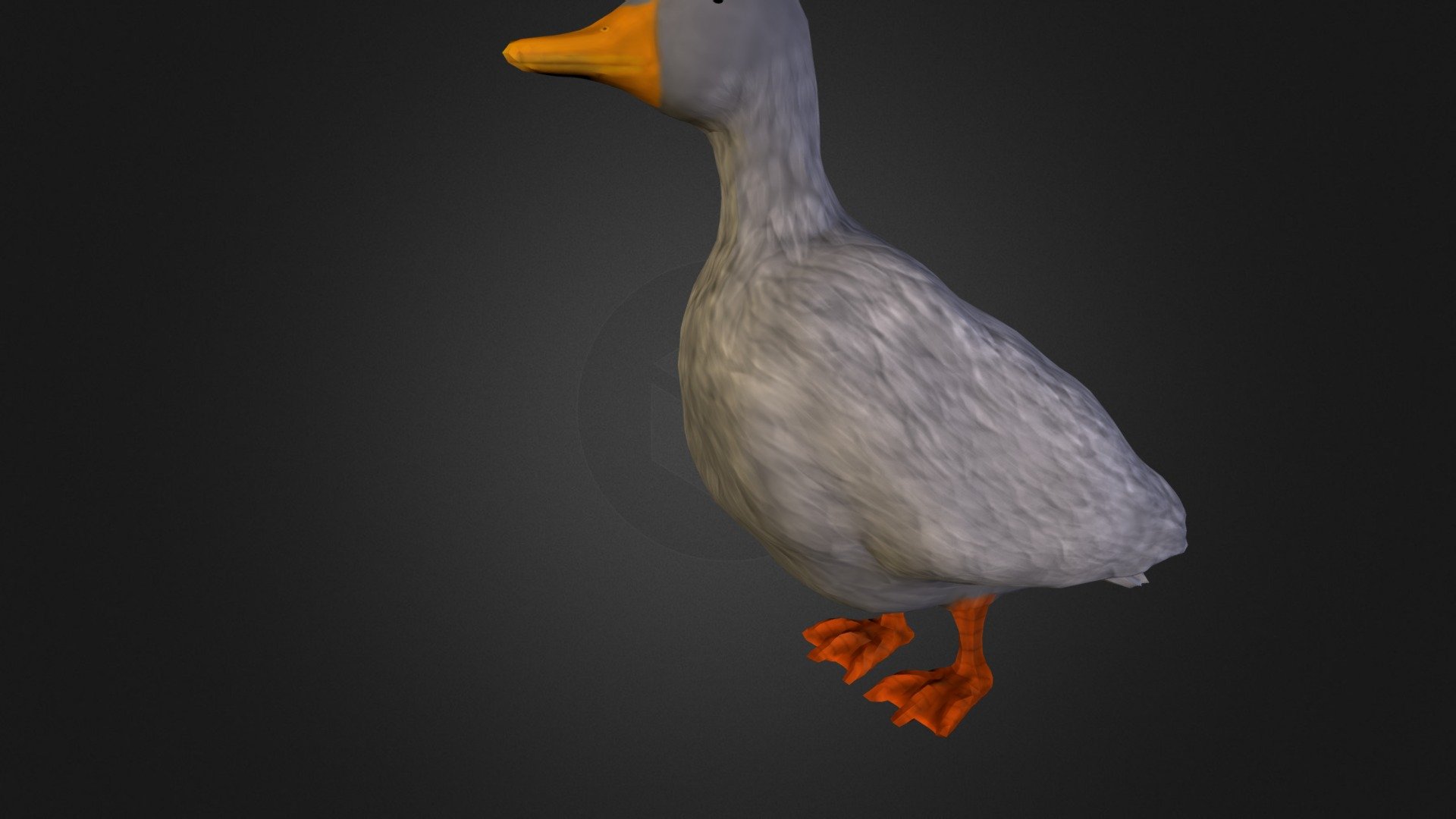 Duck.zip