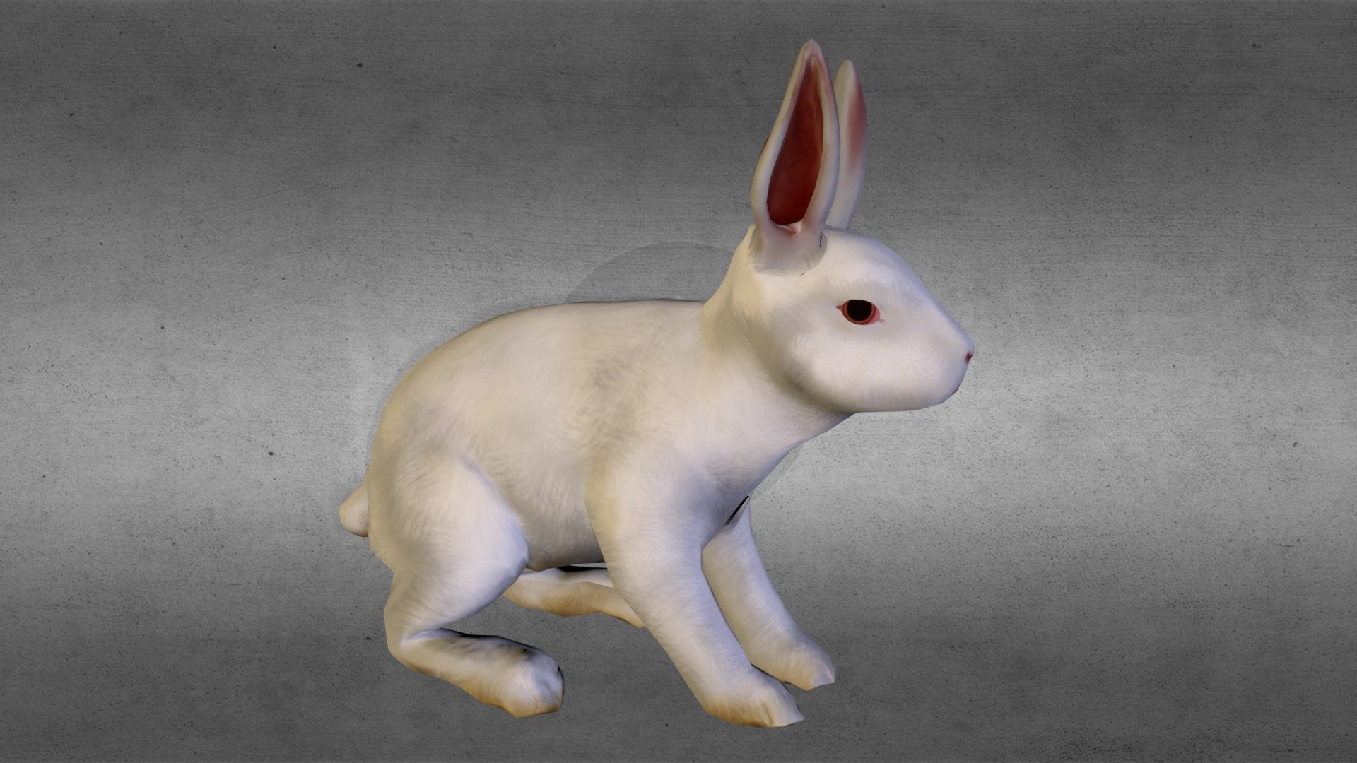 Rabbit - 3D Model By Merry [sSxDI9u] - Sketchfab